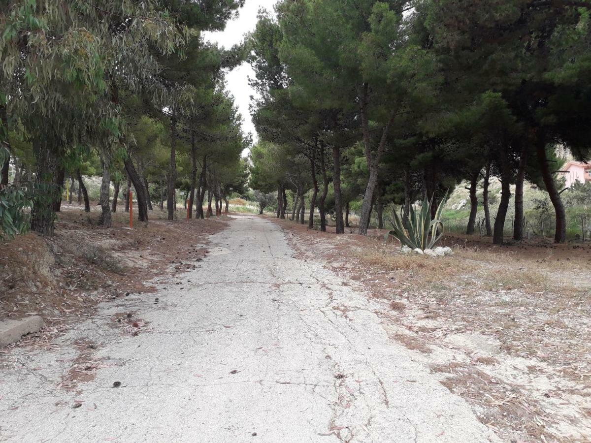 بورتو إمبيدوكْلي Camping La Pineta Village المظهر الخارجي الصورة